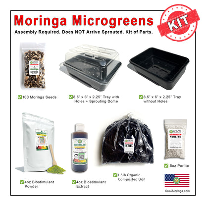 Moringa Microgreens Kit