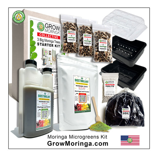 Moringa Microgreens Kit | Sprouting Dome with Seeds, Soil & BioStimulant
