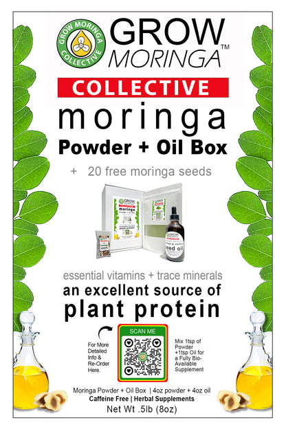 Moringa Powder + Oil Box | Free Moringa Seeds