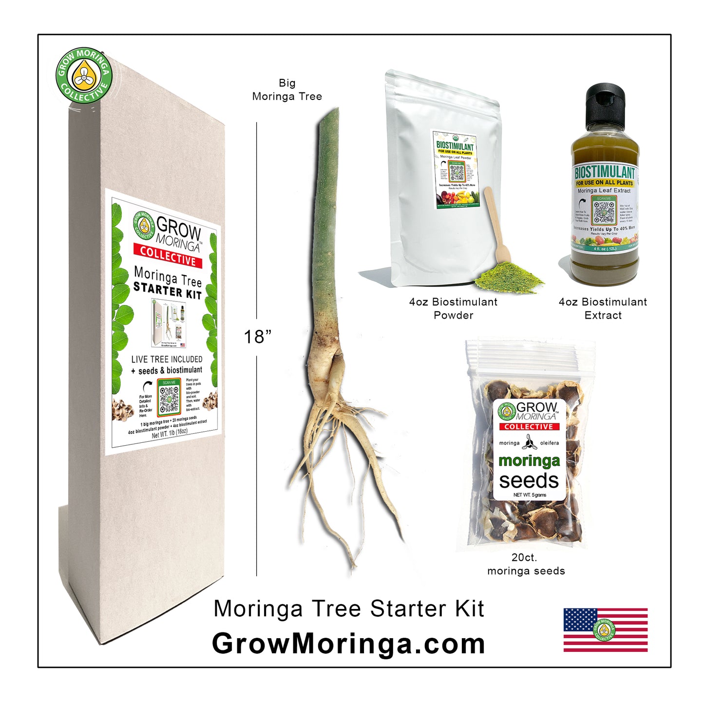 Moringa Tree Starter Kit | Outdoor Food Forest