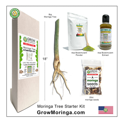 Moringa Combo Kit | Indoor & Outdoor Bundle