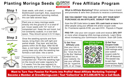 10 Moringa Trees + Starter Kit | Moringa Seeds & Plant Fertilizer