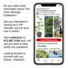 Grow Moringa Collective Membership
