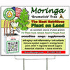 Moringa Bandit Sign