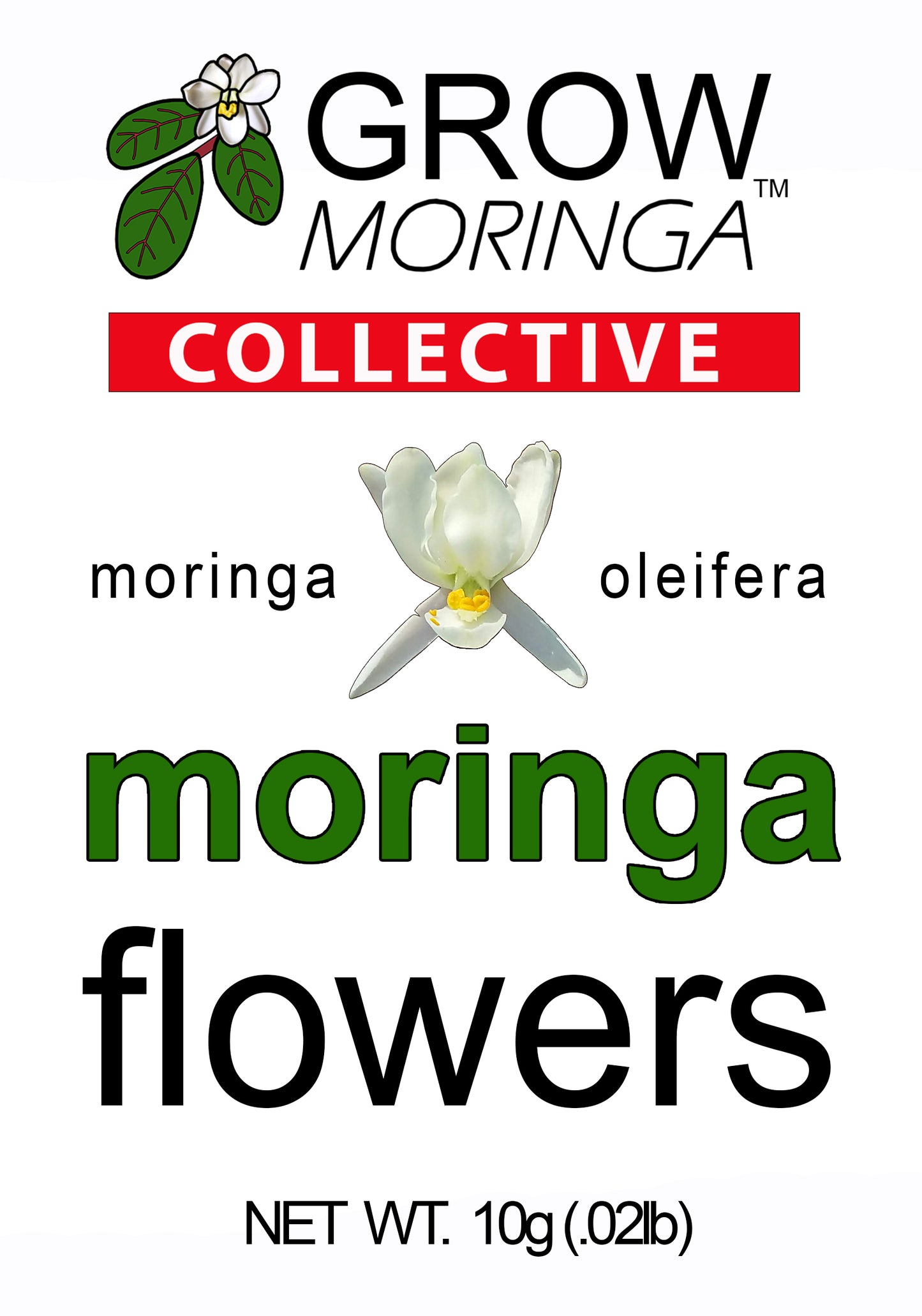 Moringa Flowers