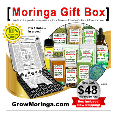 Moringa Gift Box
