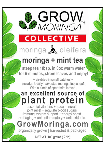 Moringa + Mint Tea Loose