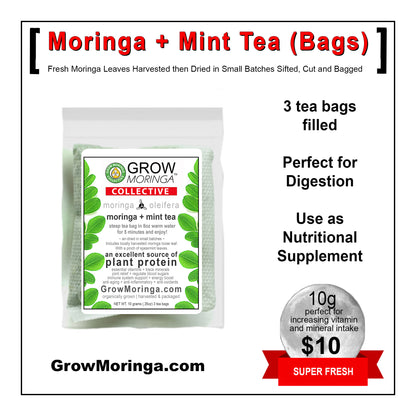 Moringa Gift Box
