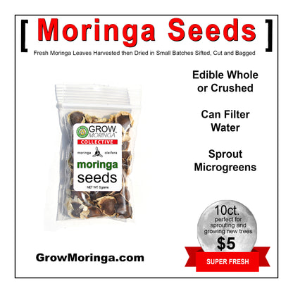 Moringa Gift Box