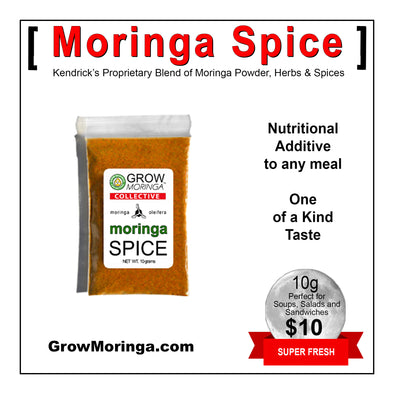 Moringa Spice